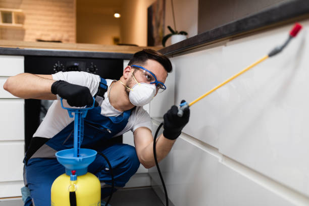 Best Best Pest Control Companies  in Lompoc, CA