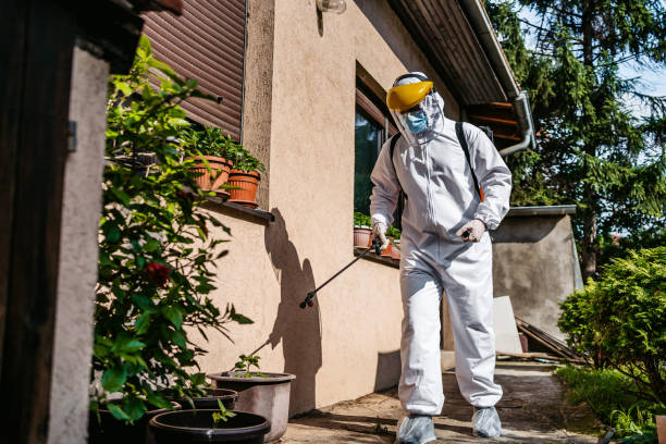 Best Local Pest Control Services  in Lompoc, CA