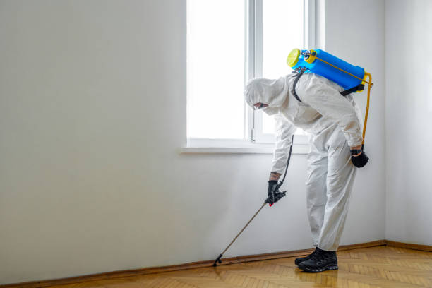 Best Wildlife Control Services  in Lompoc, CA