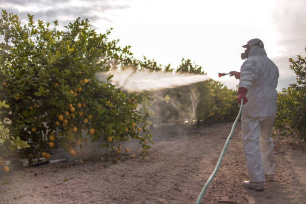 Best Best Pest Control Companies  in Lompoc, CA