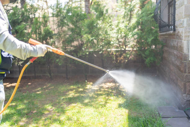 Best Best Pest Control Companies  in Lompoc, CA