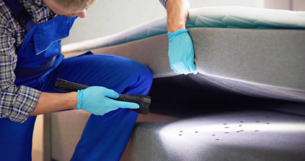 Best Rat Extermination Near Me  in Lompoc, CA