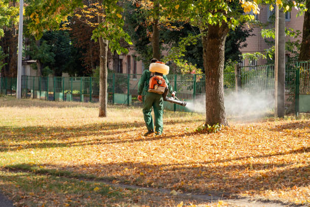 Best Exterminator Services  in Lompoc, CA