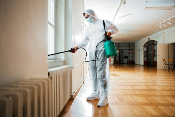 Professional Pest Control in Lompoc, CA