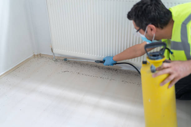 Best Flea Control Services  in Lompoc, CA