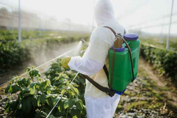 Best Pest Removal Services  in Lompoc, CA